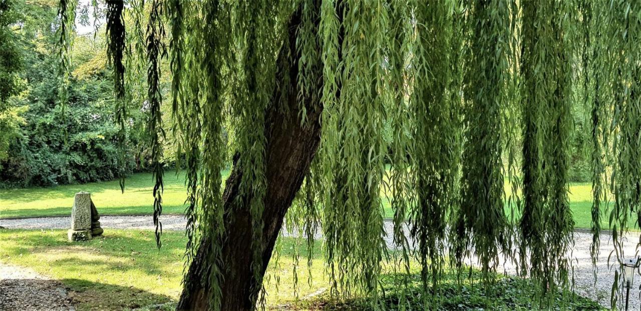 Villa Romahn 施科伊迪茨 外观 照片